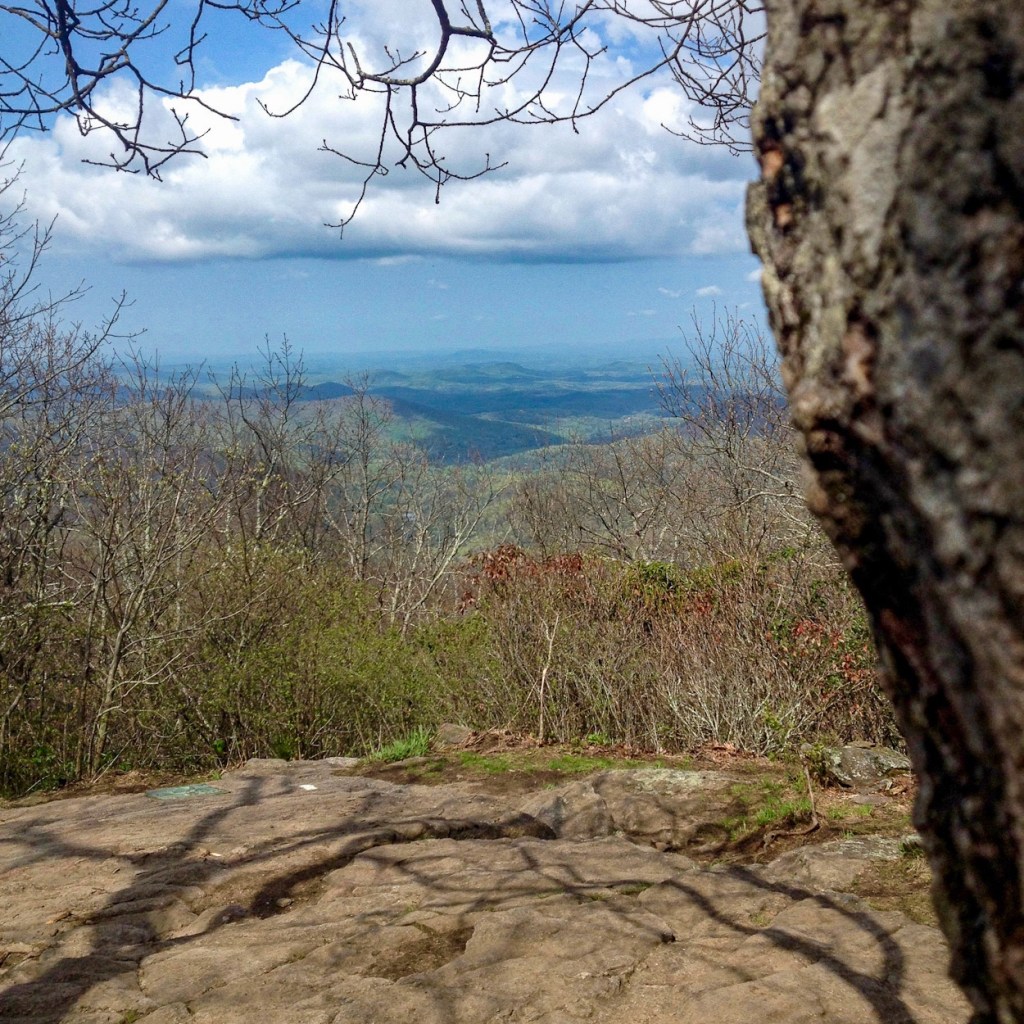 Springer Mountain, Appalachian Trail Southern Terminus